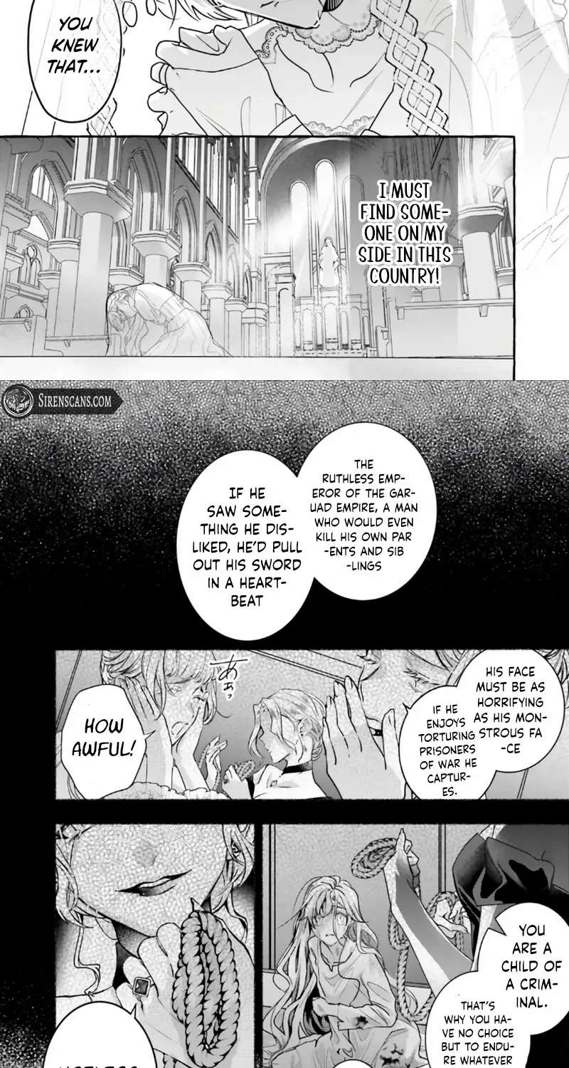 The Ruthless Emperor Is Doting on the Hostage Princess Chapter 1 - page 16