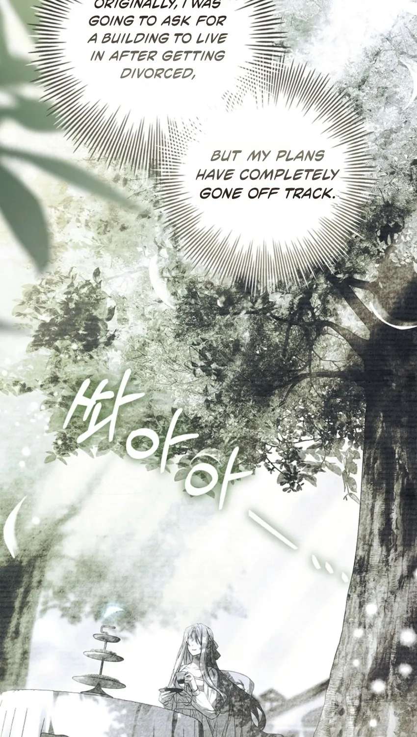 Honey, Why Can’t We Get A Divorce? Chapter 99 - page 61