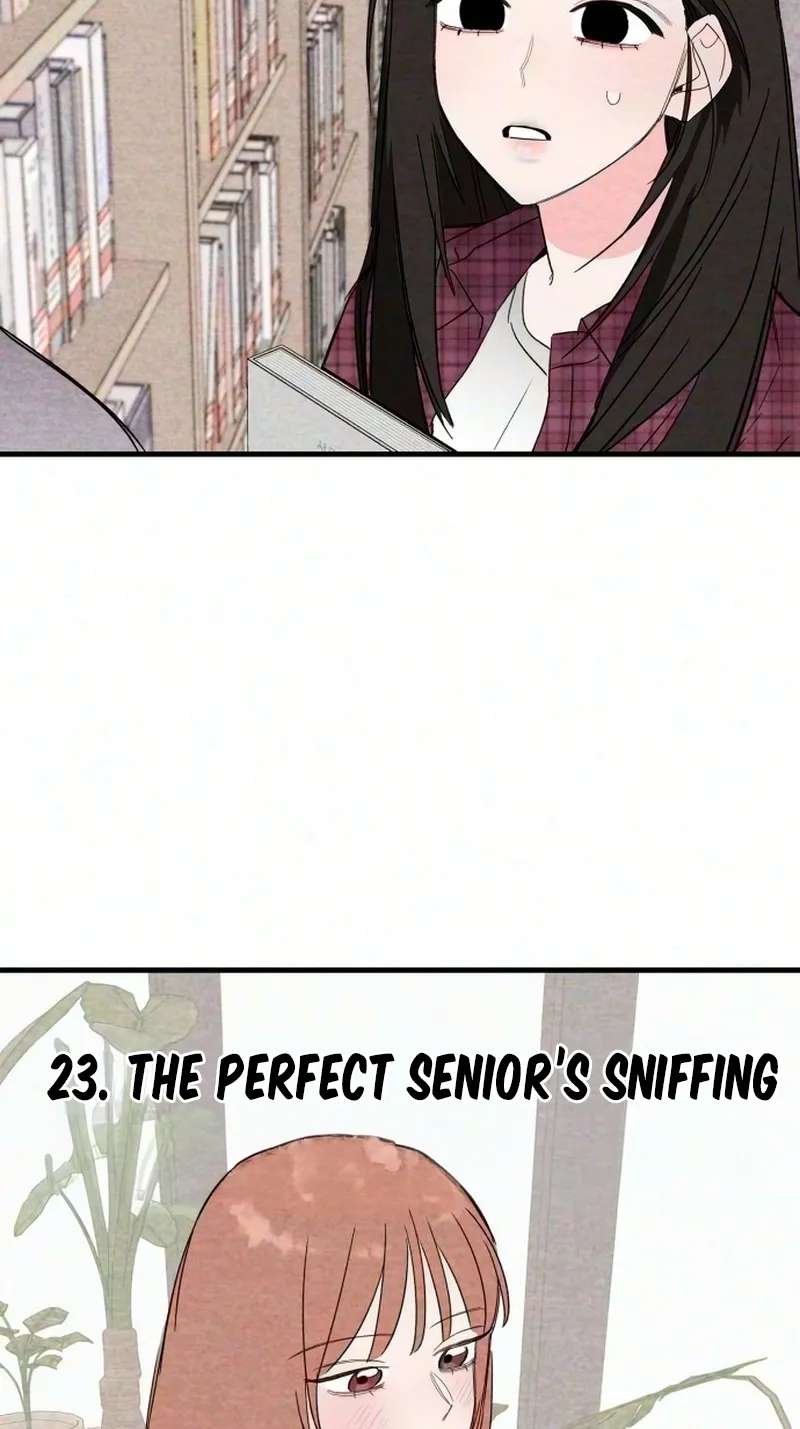 The Perfect Senior's Secret! Chapter 23 - page 9