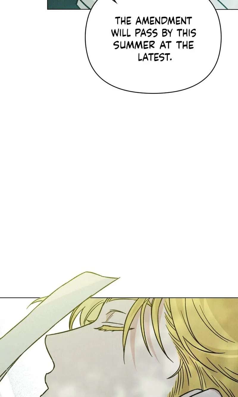 The Butterfly That Swallowed the Fog Chapter 40 - page 62