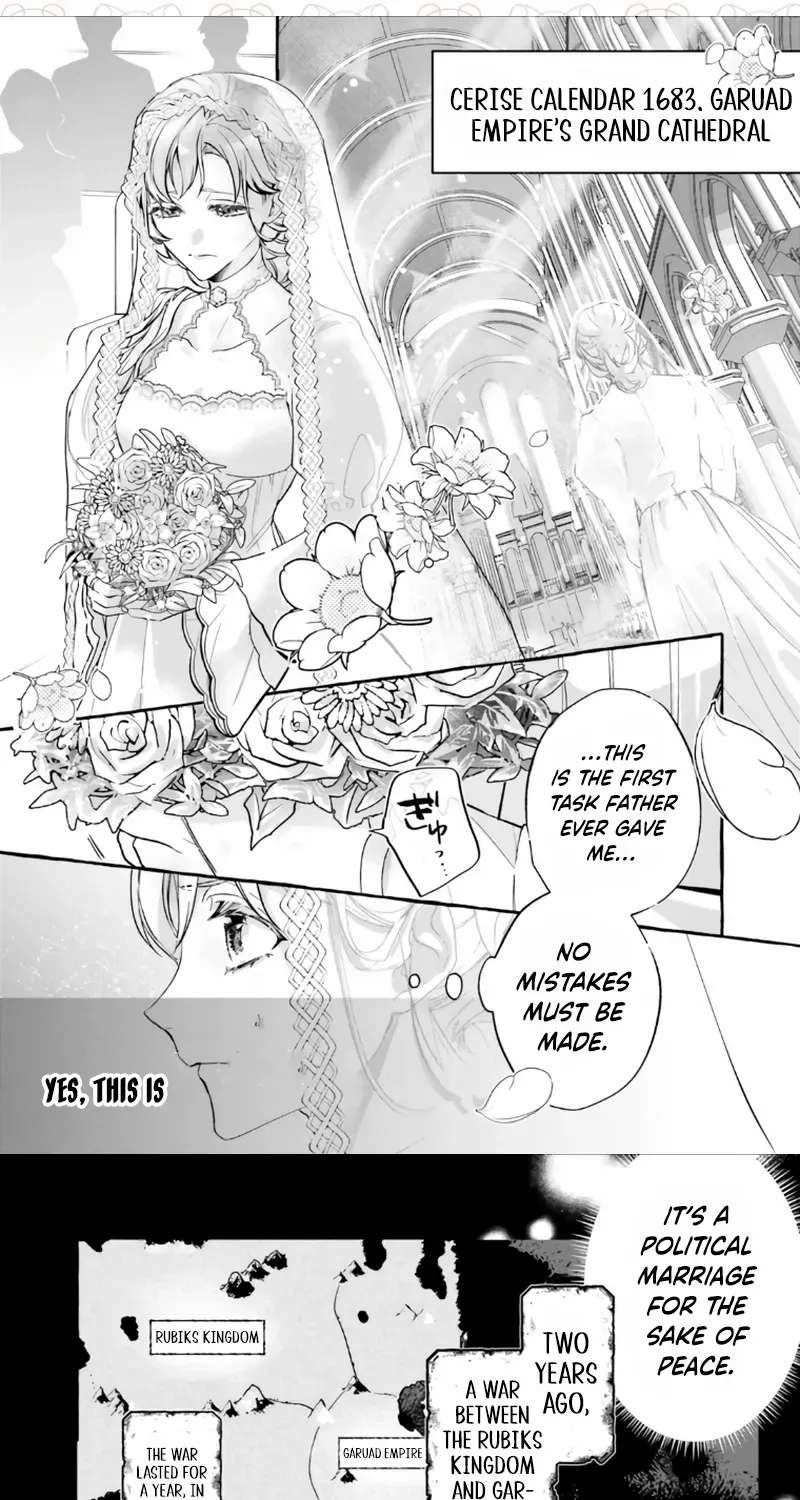 The Ruthless Emperor Is Doting on the Hostage Princess Chapter 1 - page 8