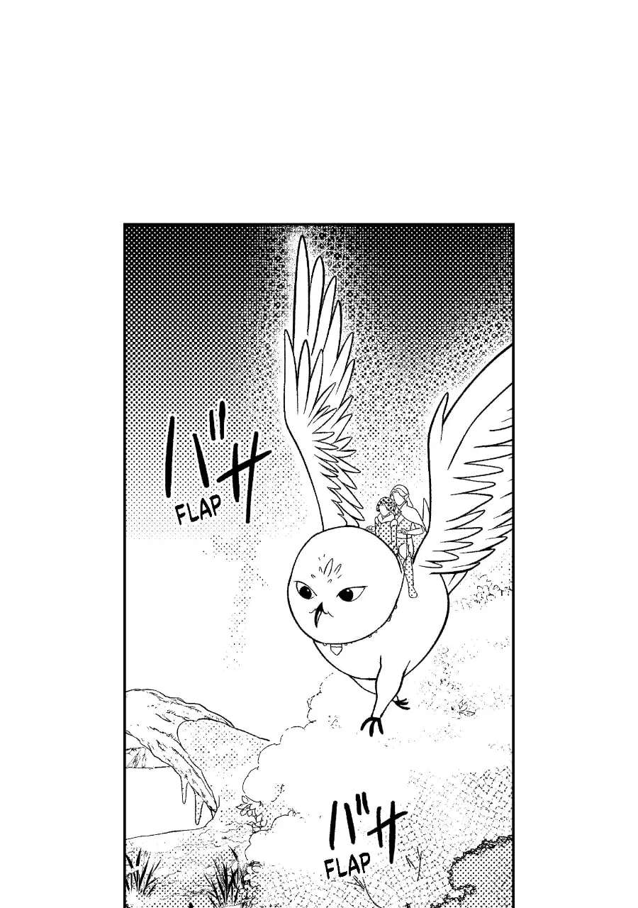 Wings of Starlight Chapter 25 - page 1