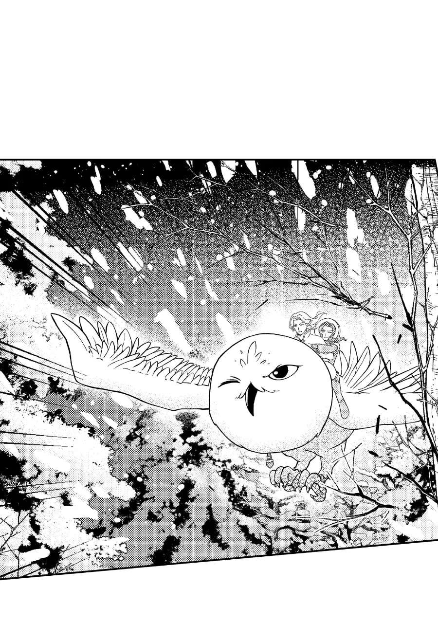Wings of Starlight Chapter 26 - page 12