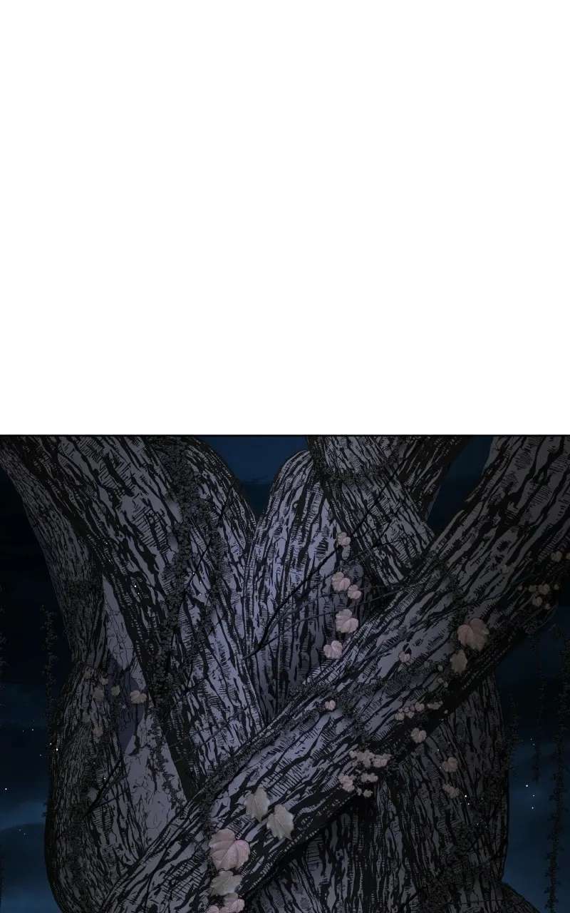 The Constellations Are My Disciples Chapter 151 - page 96