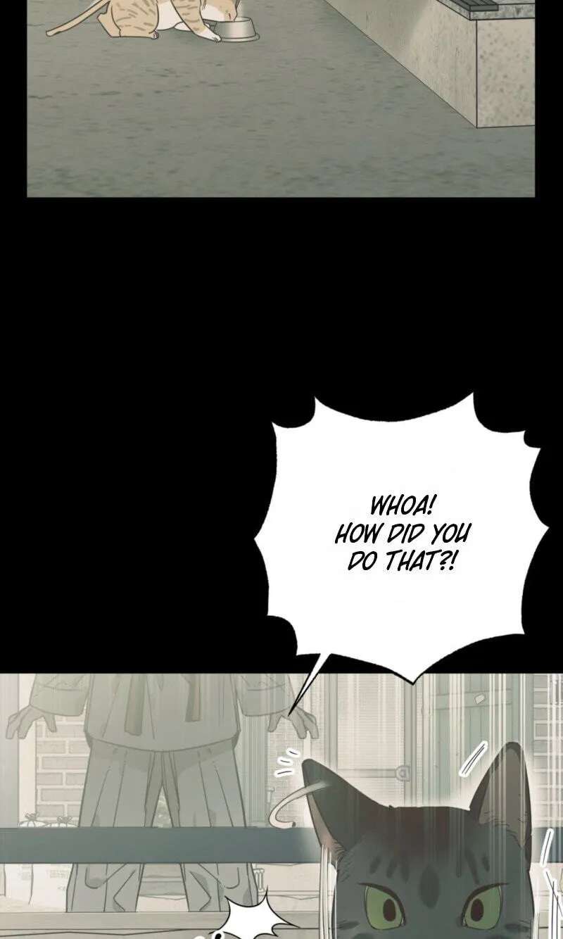 Cat Choice Chapter 28 - page 10
