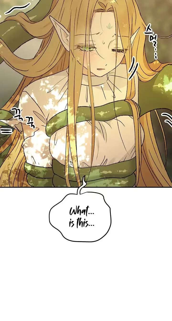 The Mating of Elves Chapter 68 - page 88