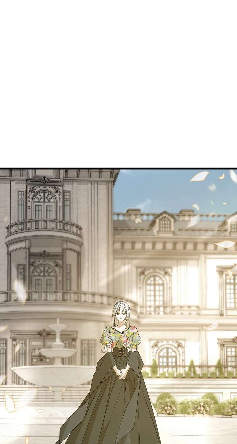 My Husband Who Hates Me Has Lost His Memories Chapter 104 - page 47