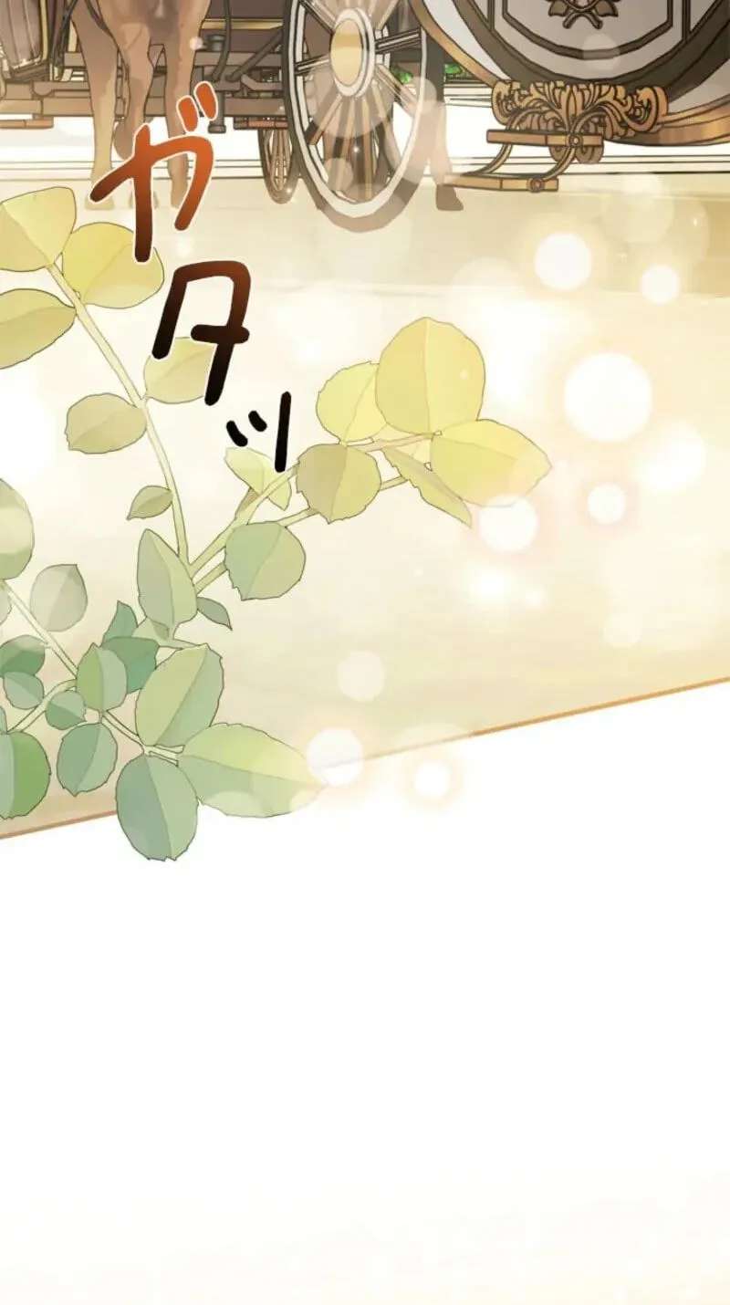 The Count's Beloved Contract Young Lady Chapter 47 - page 81