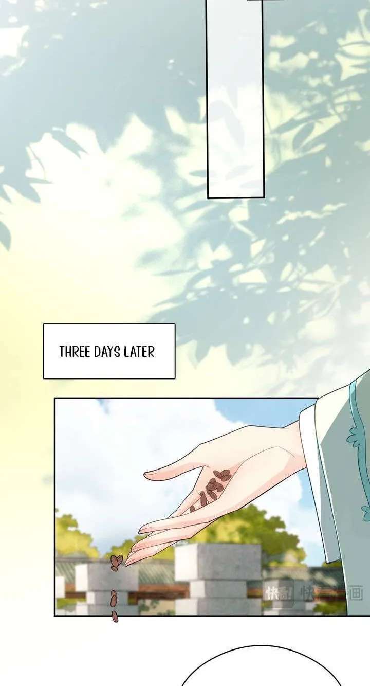 I’d Rather Marry a Memorial Tablet Than Serve as a Concubine Chapter 64 - page 23
