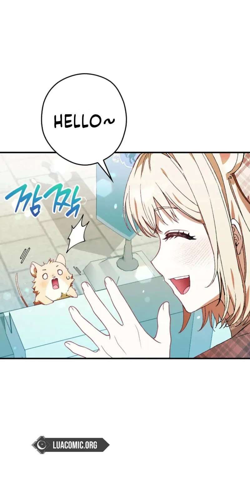 Cinderella's Pocket-Sized Protector Chapter 61 - page 3