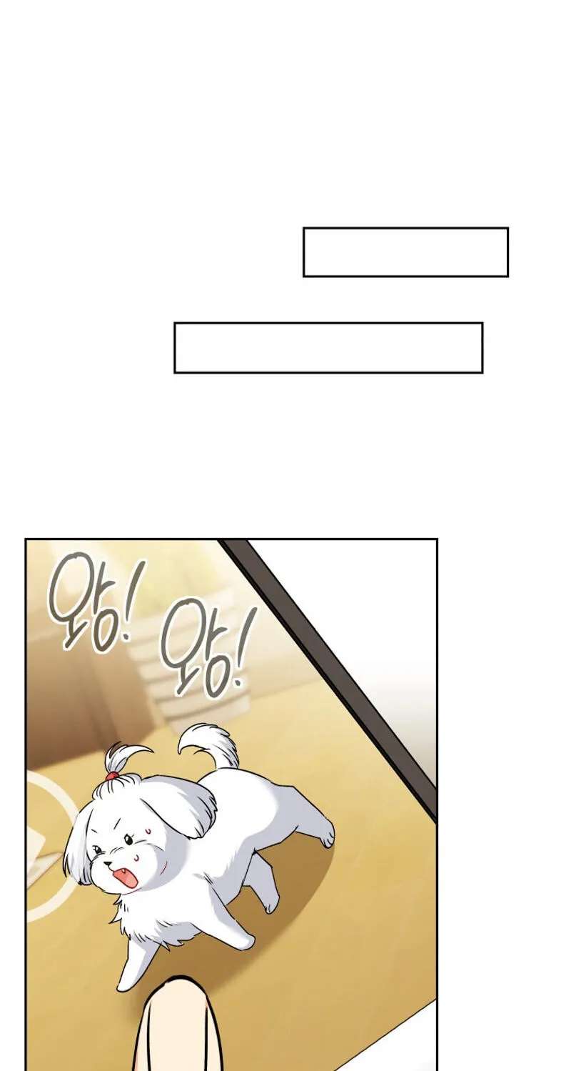 Hello, Mr. Veterinarian! Chapter 145 - page 44