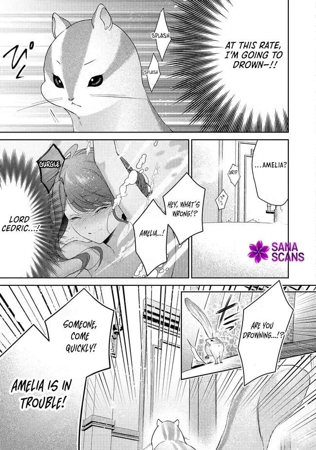My Fiancé, Who Used to Hate Me, Turned into a Squirrel and Came to Me for Help. Chapter 9 - page 30