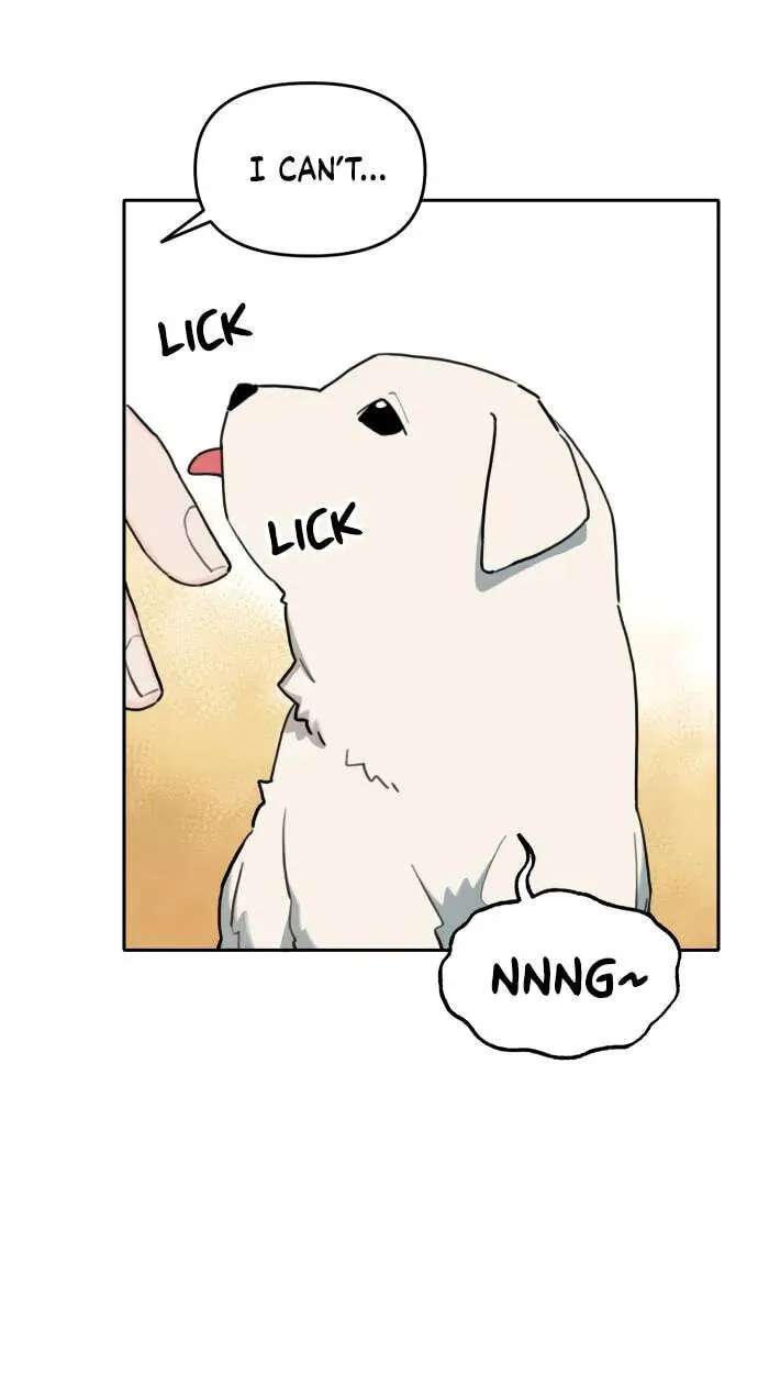 Tiger Coming In Chapter 146 - page 17