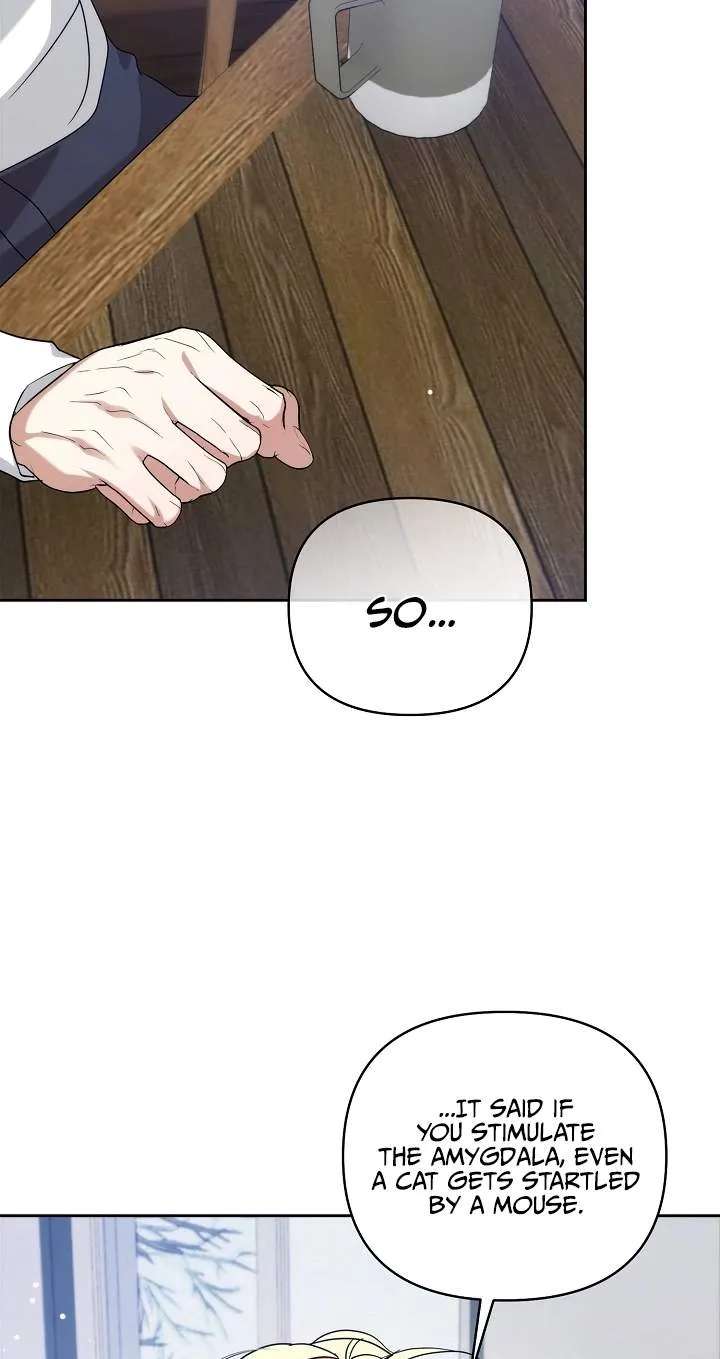 Arcadia Service: Kaishi kara San Nen Imasara Hajimeru Kasou Sekai Kouryaku Chapter 18 - page 52