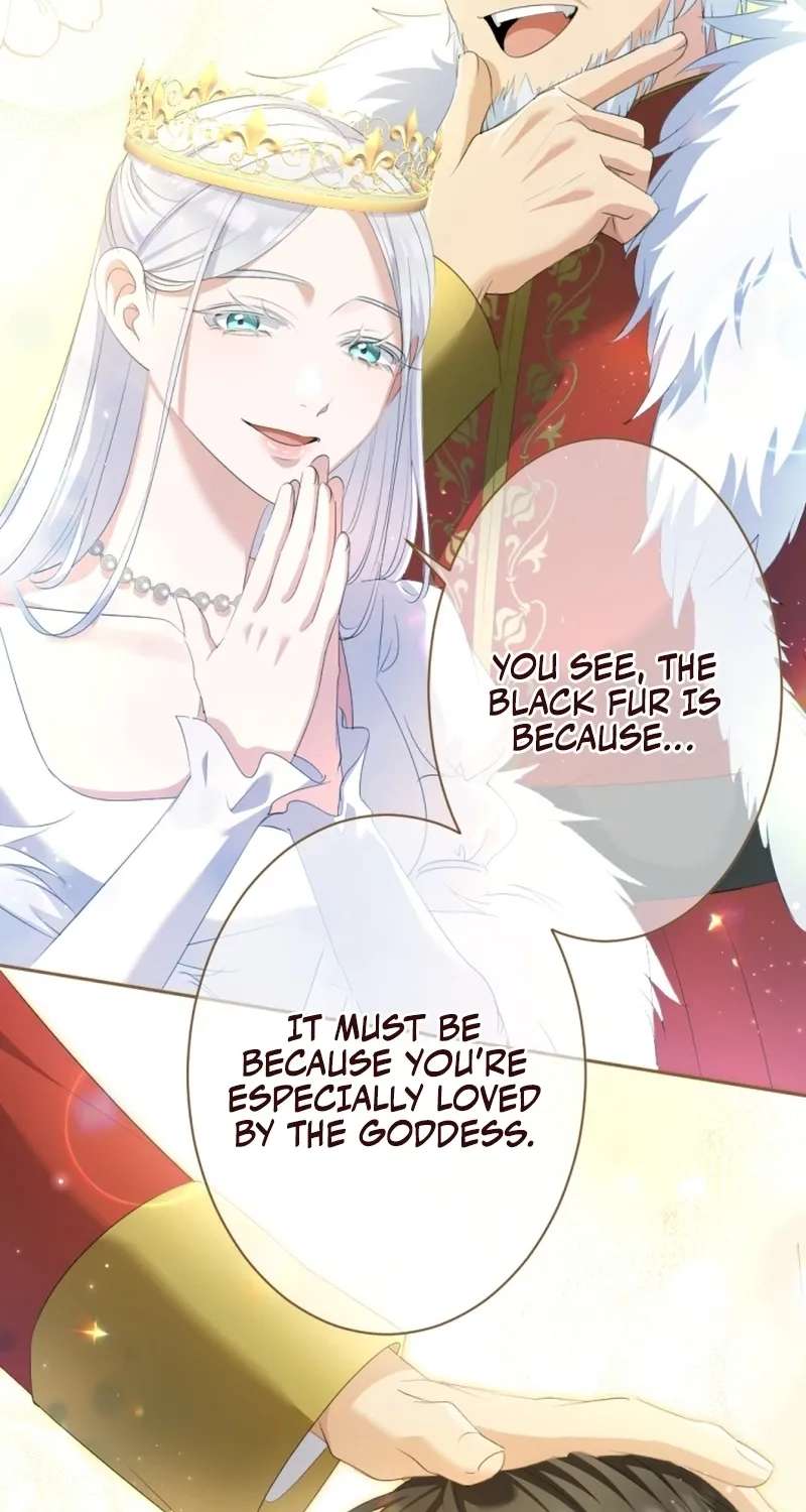 The Unhappy Poison Witch’s Happy Marriage Chapter 24 - page 74