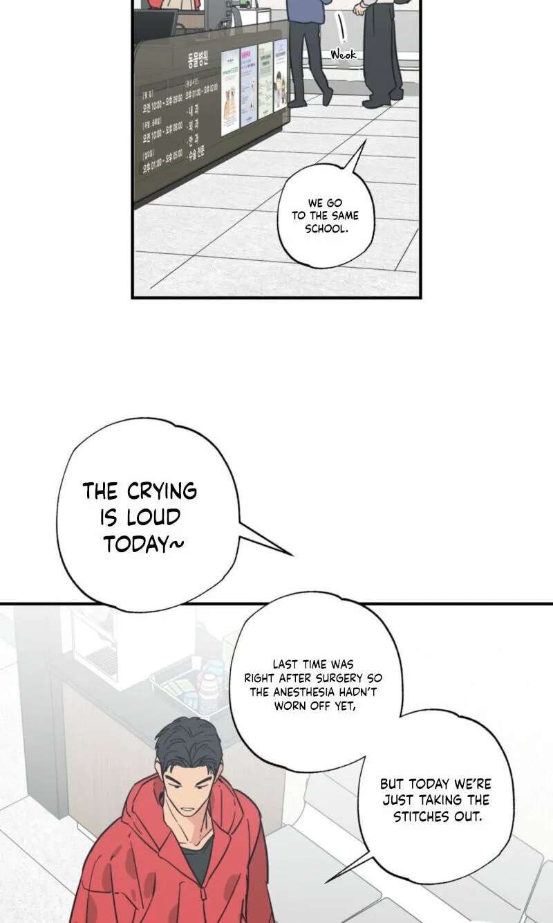 Cat Choice Chapter 29 - page 53