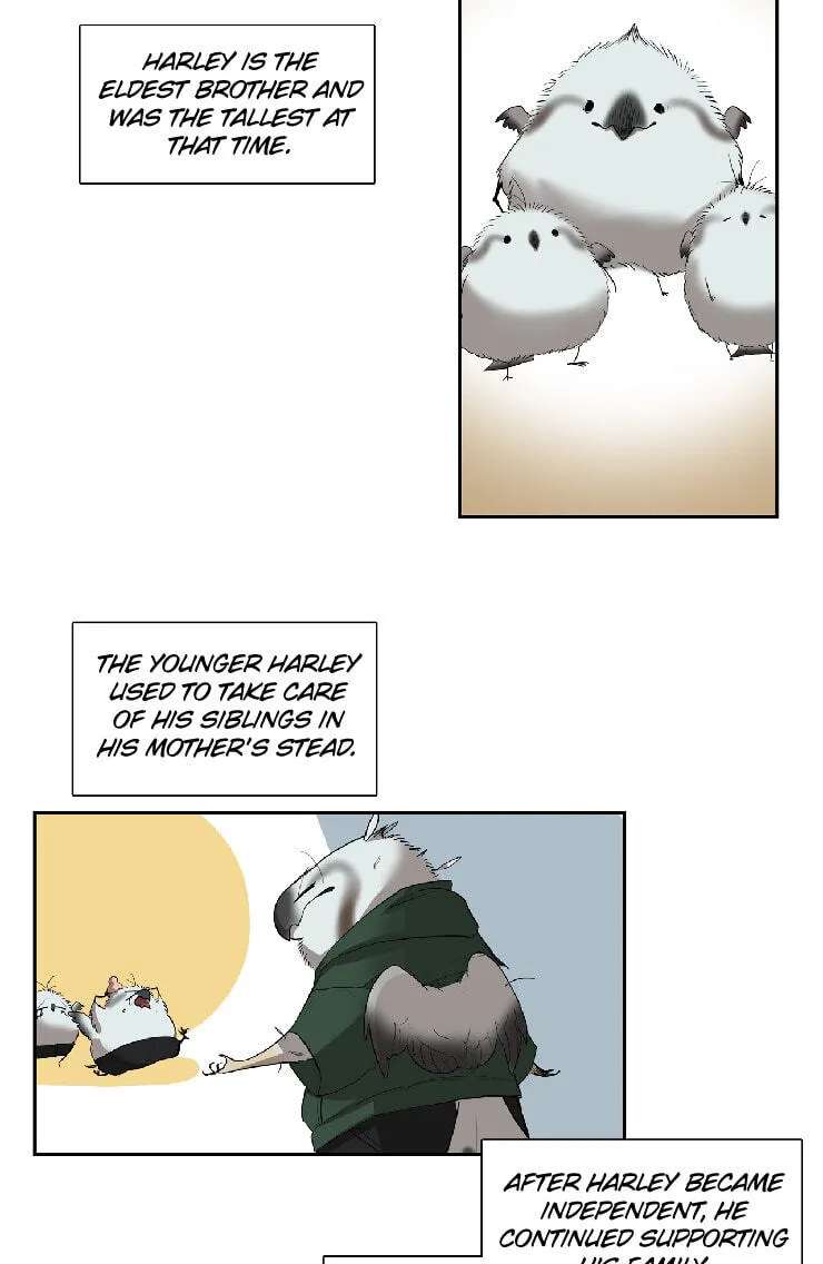 Miss Kitty and Her Bodyguards Chapter 295.5 - page 7