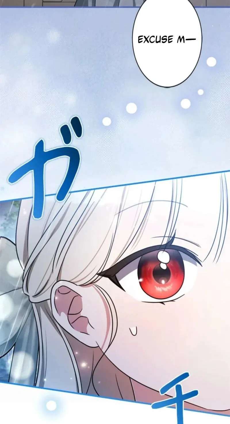 The Count's Beloved Contract Young Lady Chapter 49 - page 25