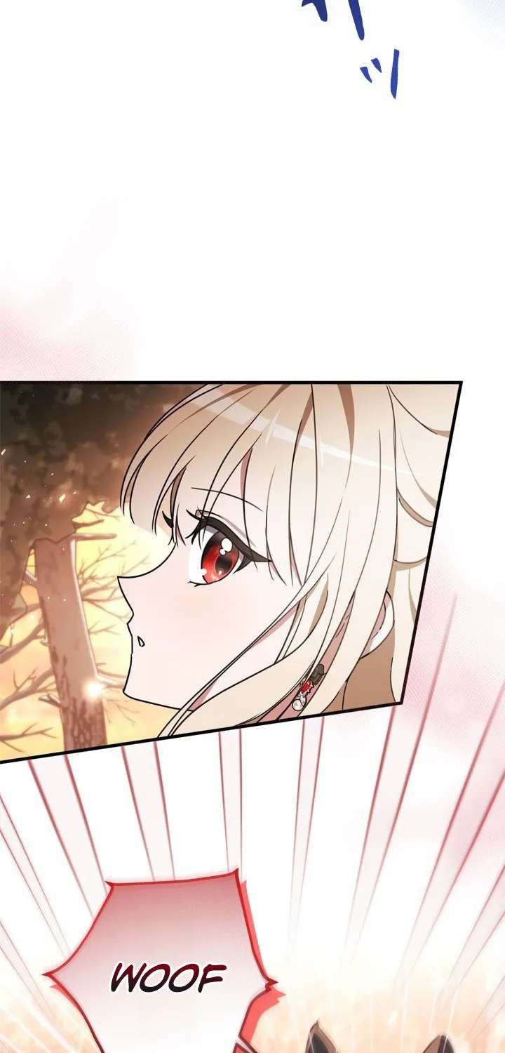 The Beloved Contract Daughter of the Count’s Family Chapter 37 - page 15
