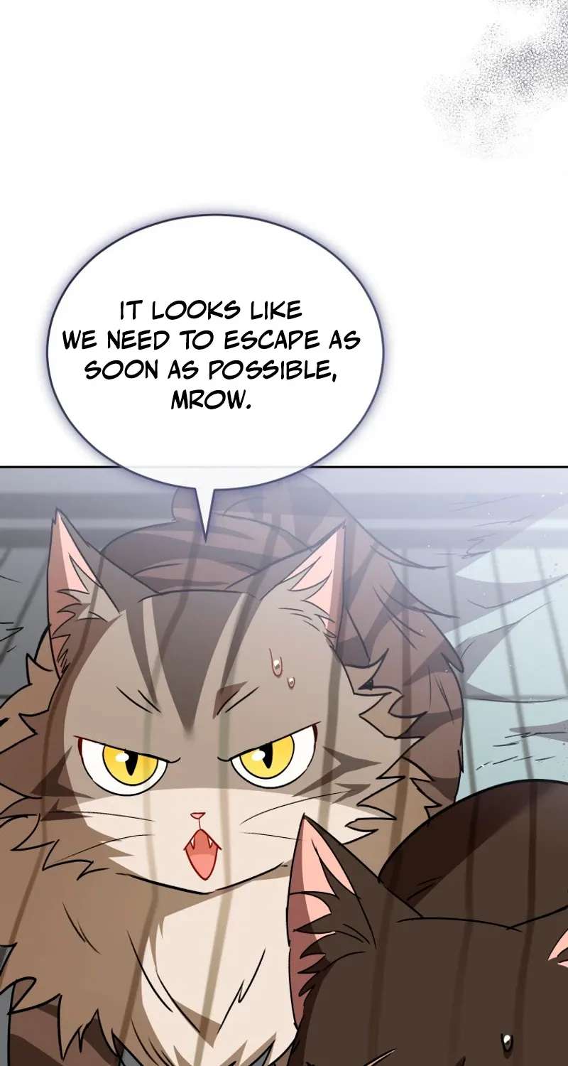 Hello! Veterinarian! Chapter 146 - page 52
