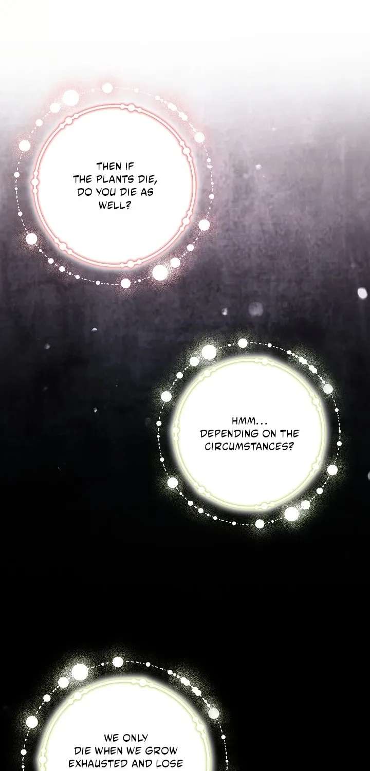 Reminiscence Adonis Chapter 313 - page 42