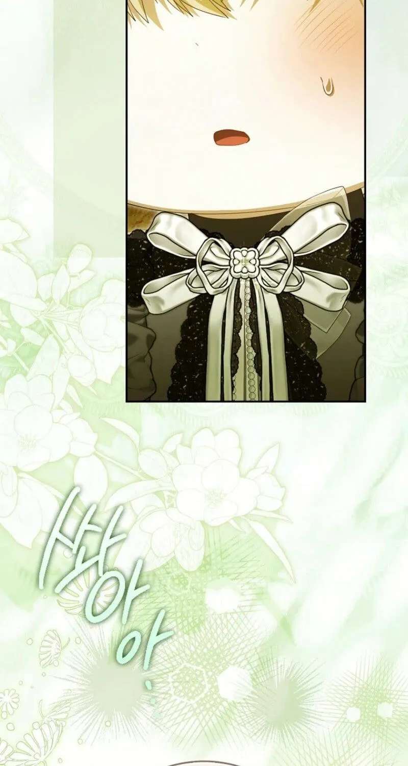 The Baby Fairy is a Villain Chapter 73 - page 13
