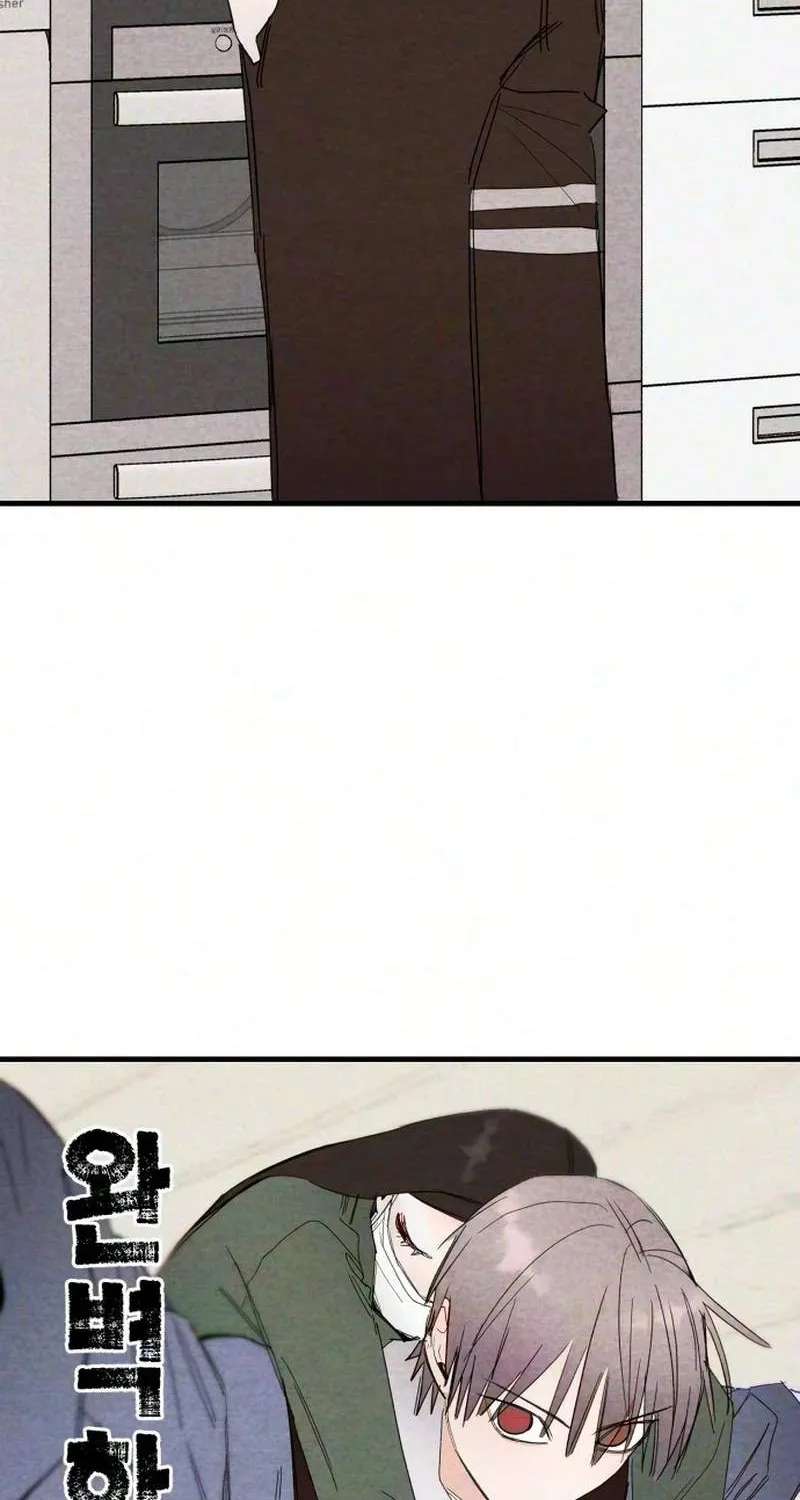 Perfect Senior's Hide! Chapter 26 - page 9