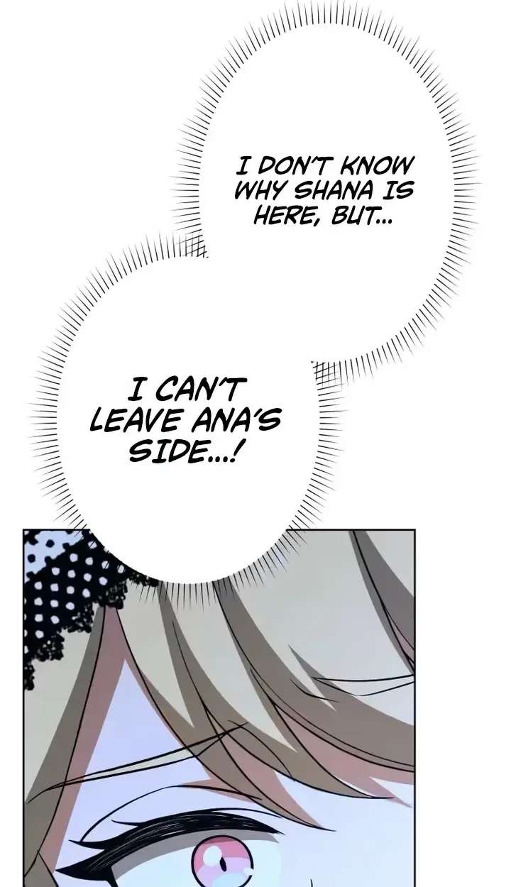 Don’t Obsess Over the Fake Princess! Chapter 42 - page 17