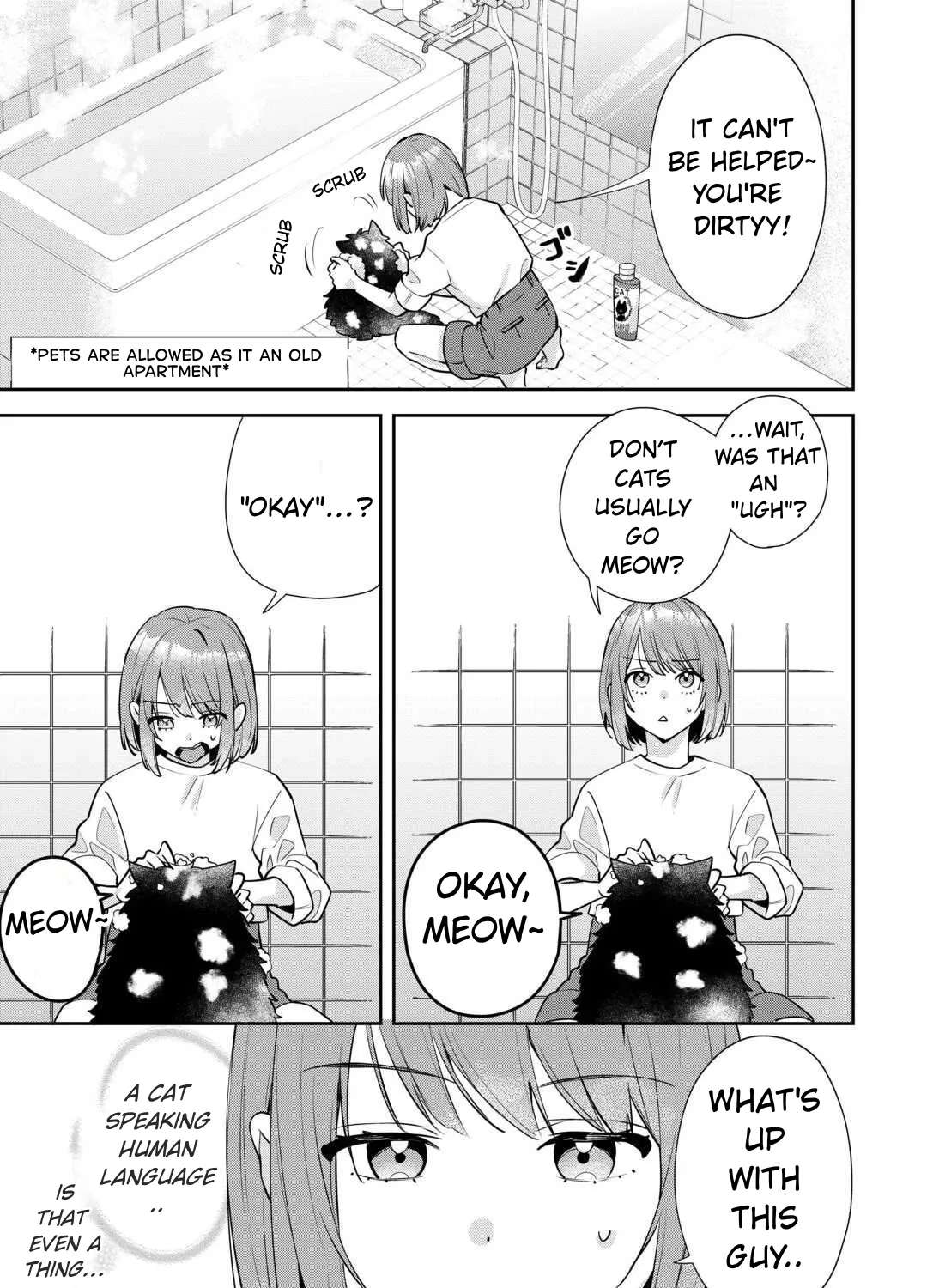 Is the Cat I Picked Up Really a Cat? Chapter 1 - page 3