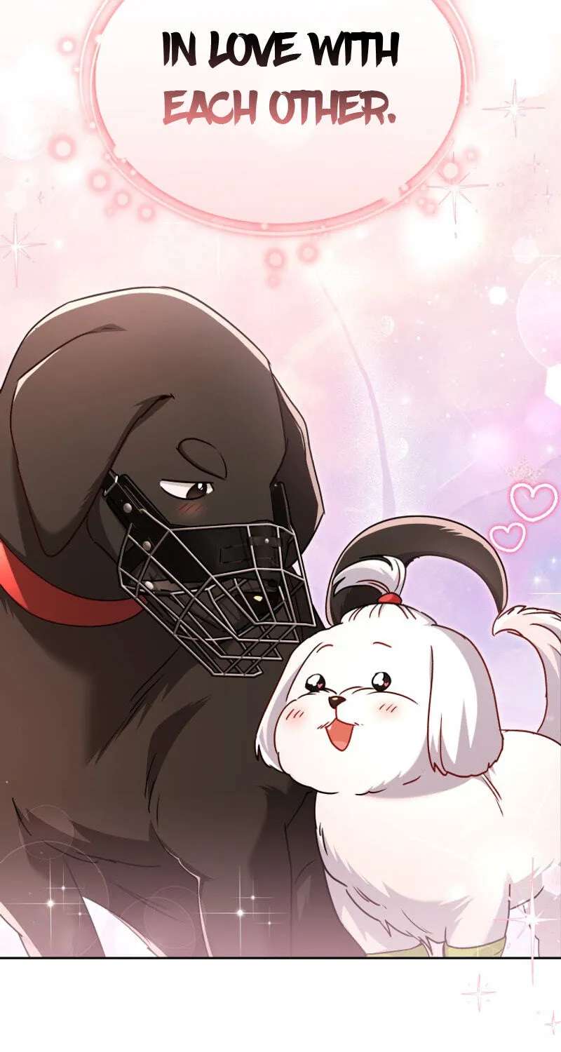 Hello, Mr. Veterinarian! Chapter 145 - page 17