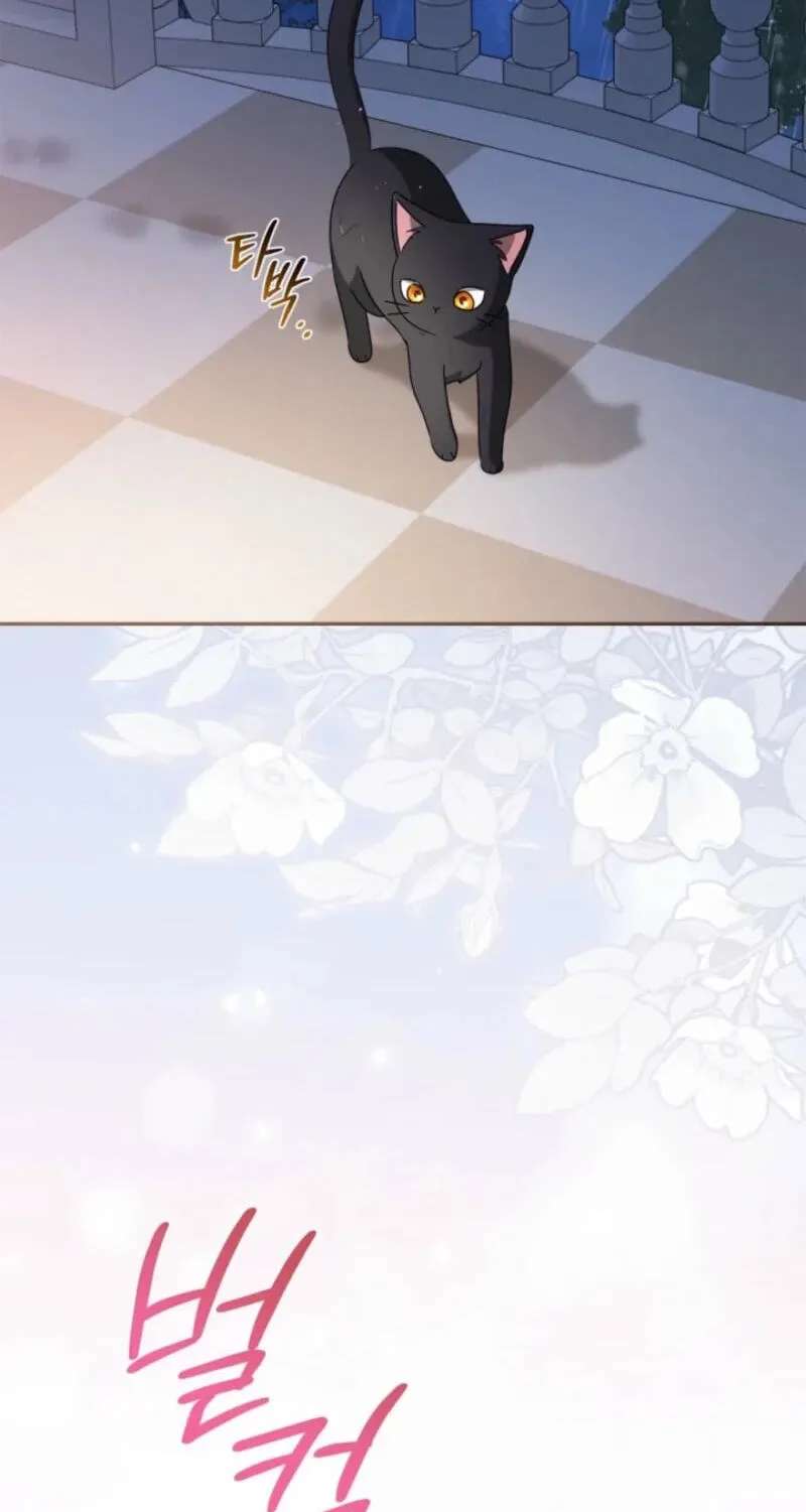 The Search for the Duchess's Husband Chapter 34 - page 65