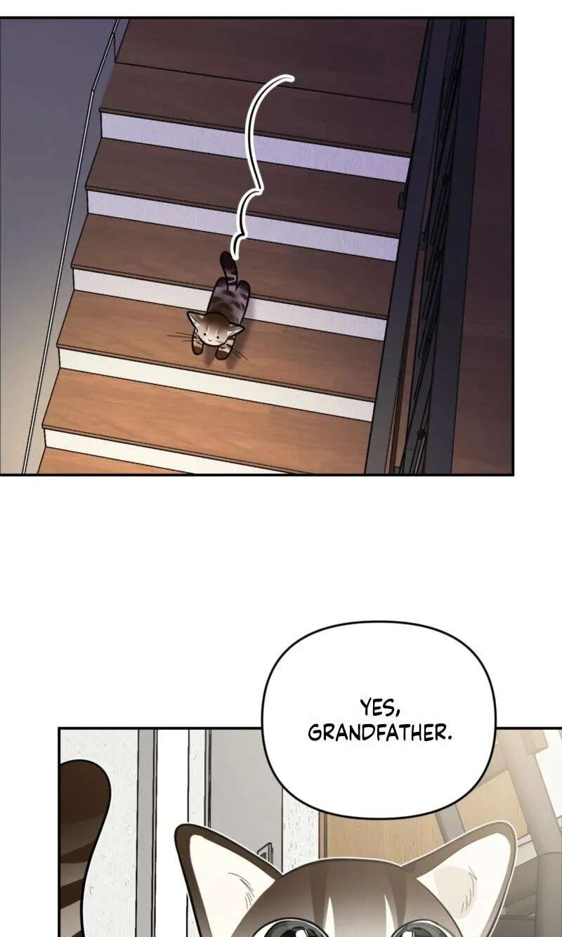 Give Birth to a Baby Wildcat for Me, Unless You Want to See Me Go Insane! Chapter 38 - page 77