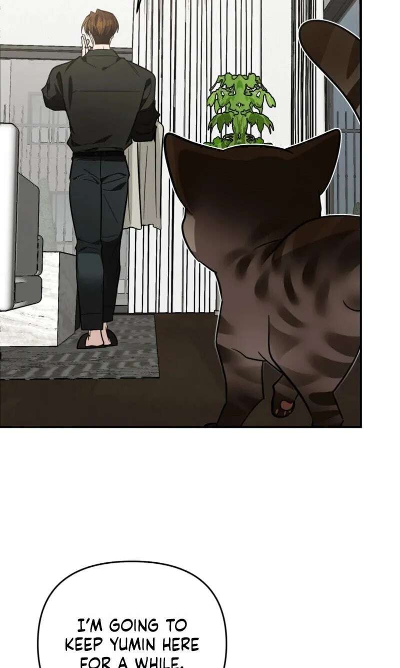 Give Birth to a Baby Wildcat for Me, Unless You Want to See Me Go Insane! Chapter 38 - page 79