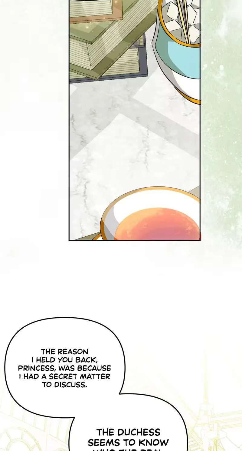 I Reincarnated as the Princess of a Country That Is Going to Destroyed by Male Protagonist Chapter 29 - page 7