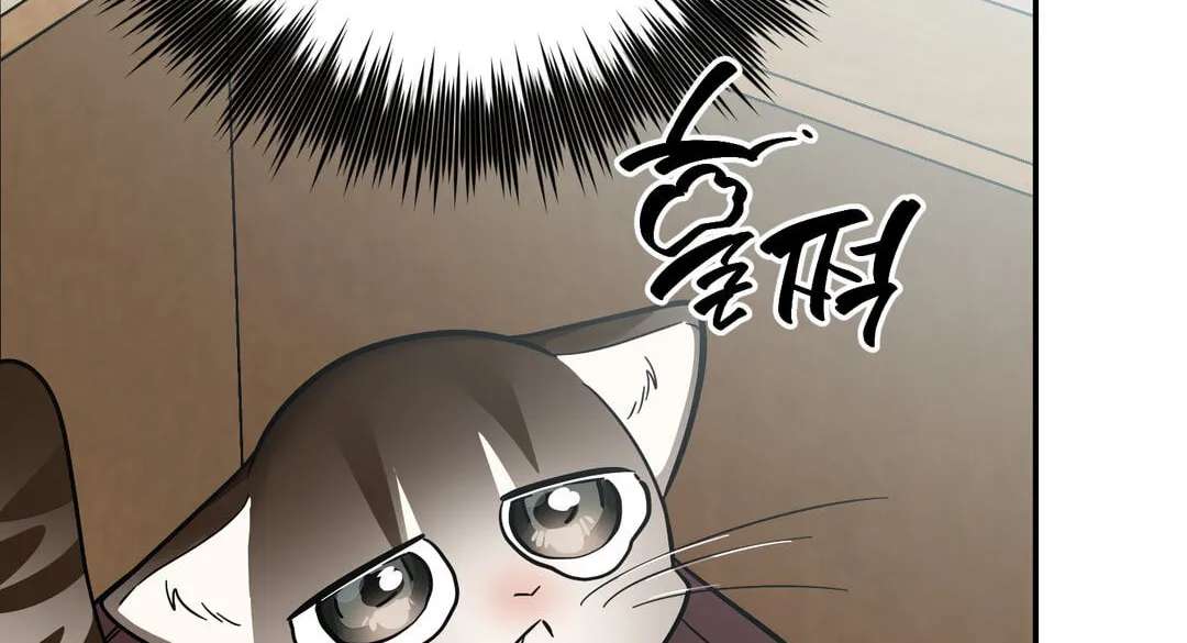 Give Birth to a Baby Wildcat for Me, Unless You Want to See Me Go Insane! Chapter 39 - page 77