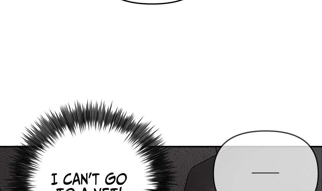 Give Birth to a Baby Wildcat for Me, Unless You Want to See Me Go Insane! Chapter 39 - page 19