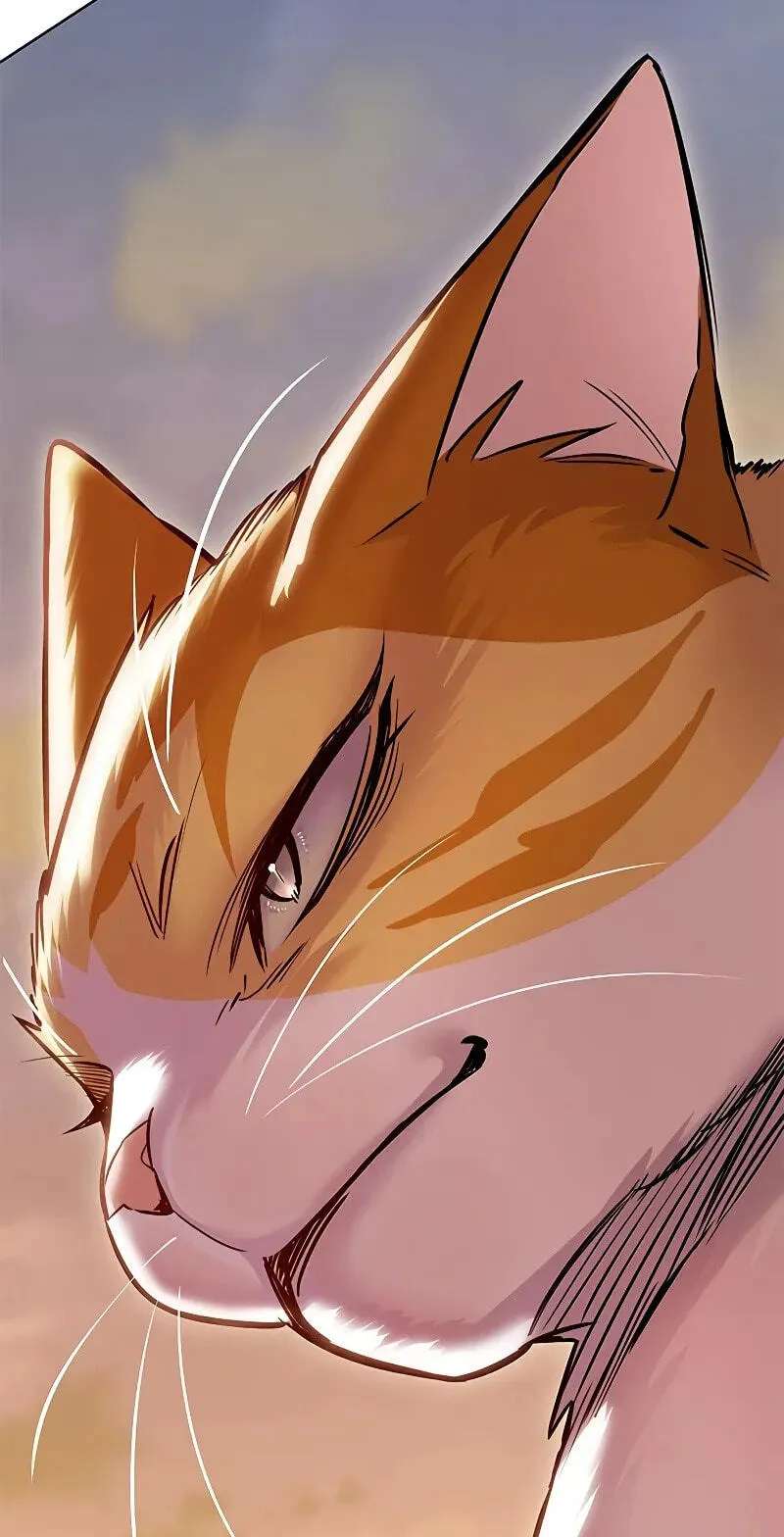 Eleceed Chapter 421 - page 50