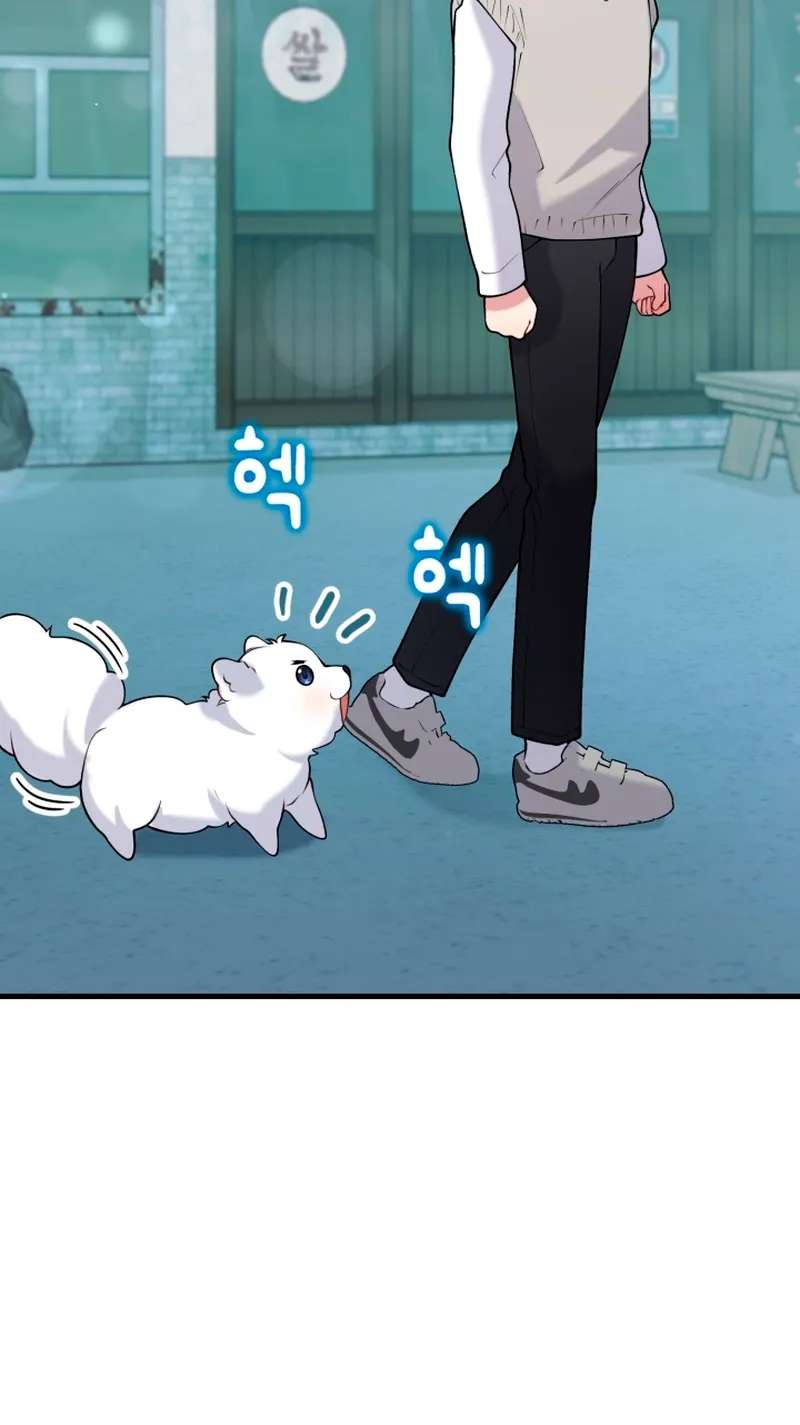My Masculine Puppy Chapter 56 - page 21