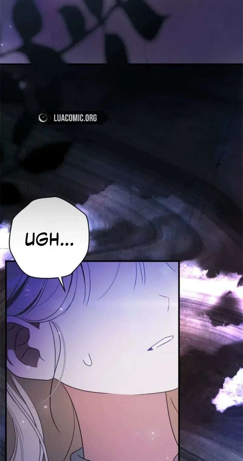 The Count's Beloved Contract Young Lady Chapter 48 - page 61