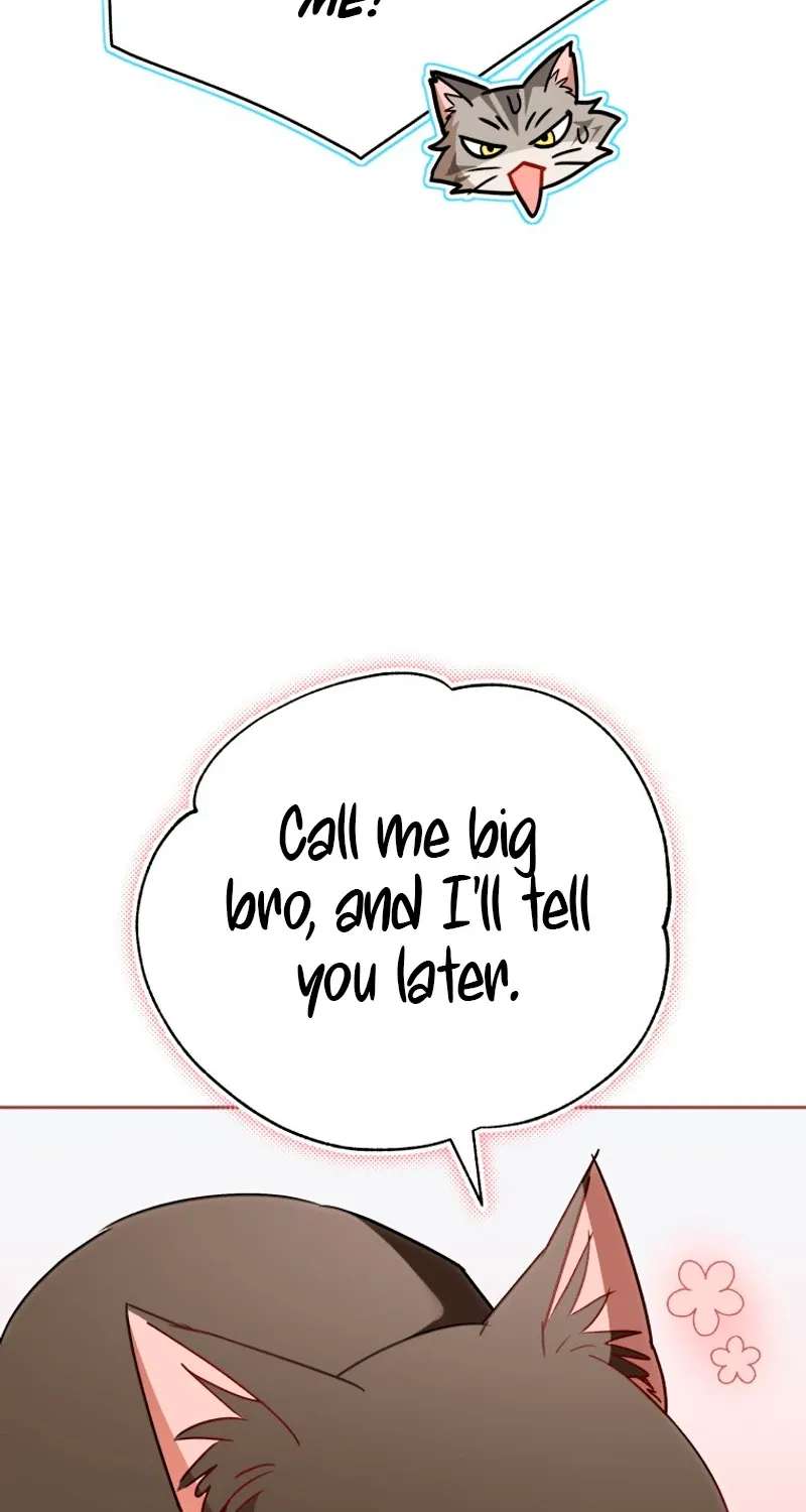Hello! Veterinarian! Chapter 146 - page 71