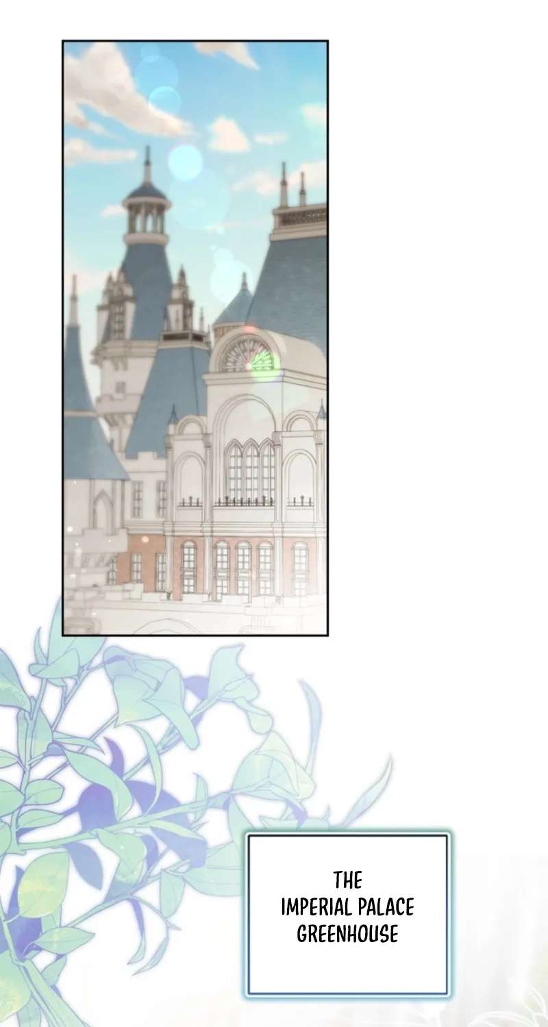 The Timid Lady of the Frontier Won't Give Up on Revenge Chapter 19 - page 2