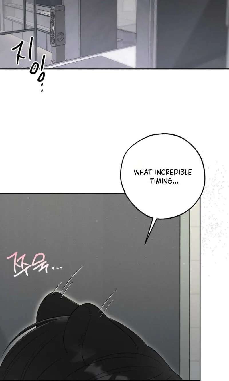 The Purrfect Match Chapter 44 - page 78