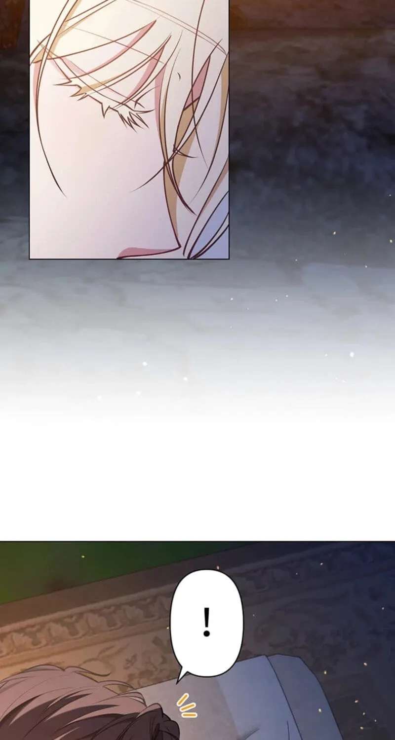 The Enemy King’s Substitute Bride Chapter 47 - page 66