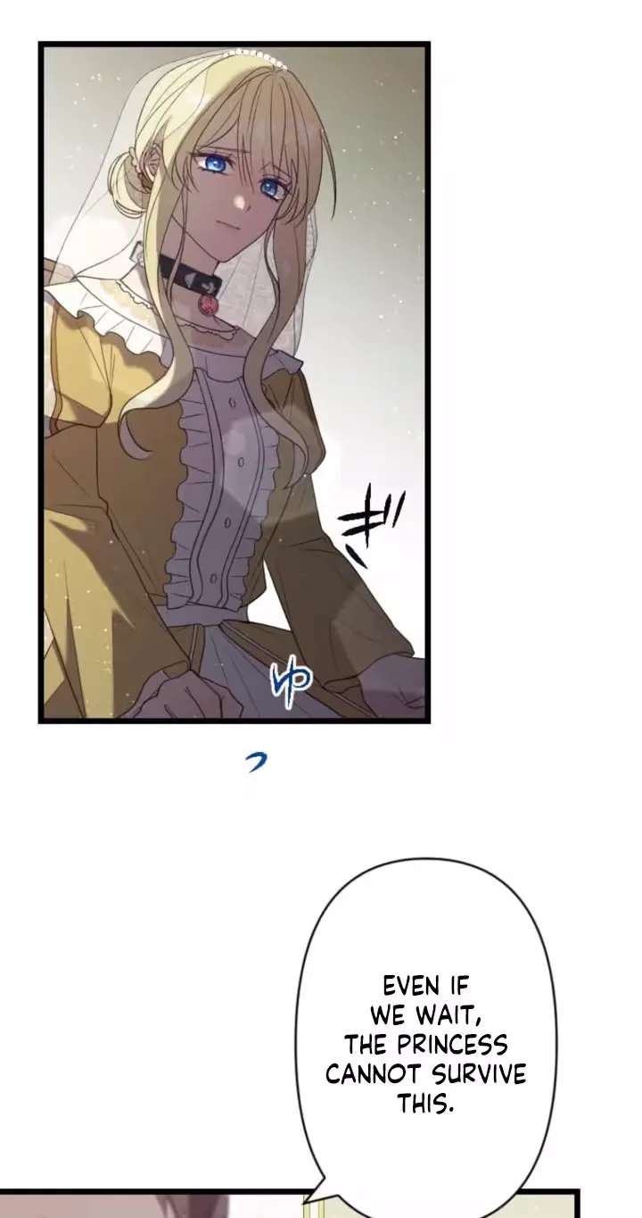 Boukoku Oujo ga Tekikoku Ouji no Chouki to Natte ~Shinshitsu kara Kokoku wo Fukkou Shimasu~ Chapter 17 - page 45