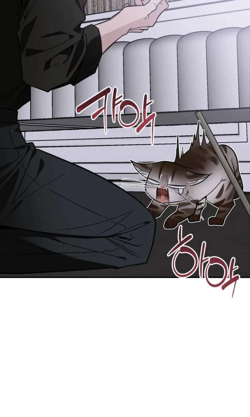 Give Birth to a Baby Wildcat for Me, Unless You Want to See Me Go Insane! Chapter 38 - page 65