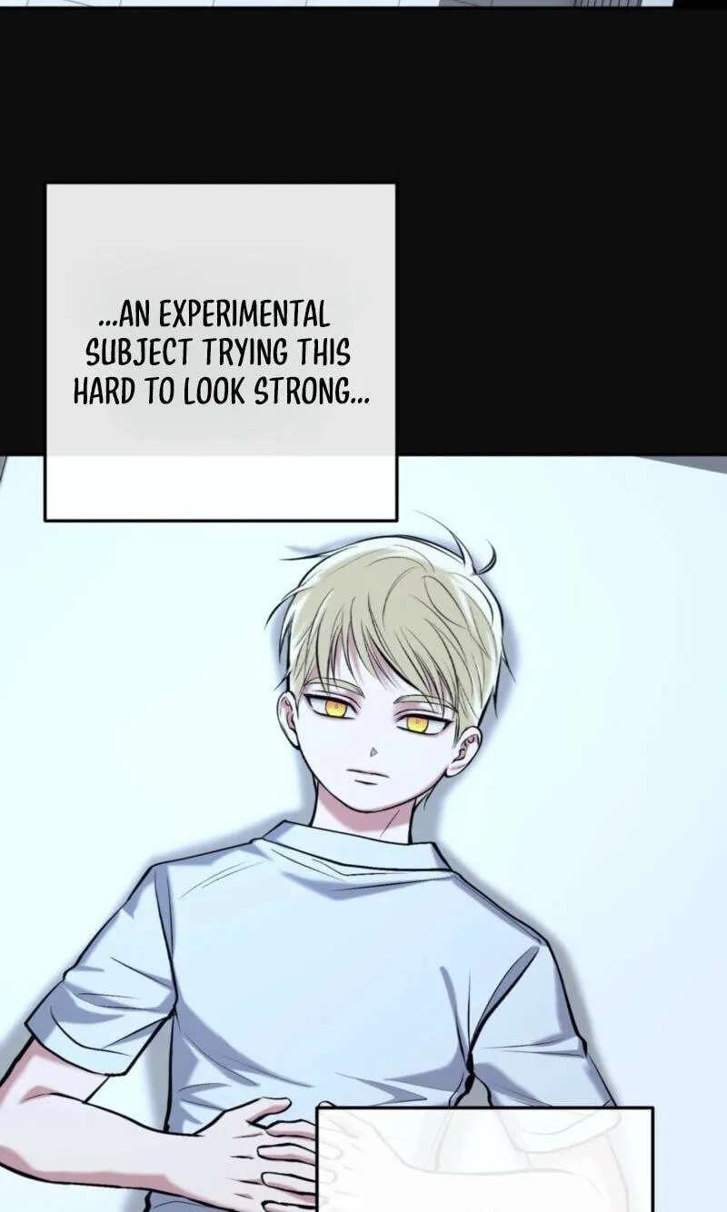 Dawning Light Chapter 33 - page 41