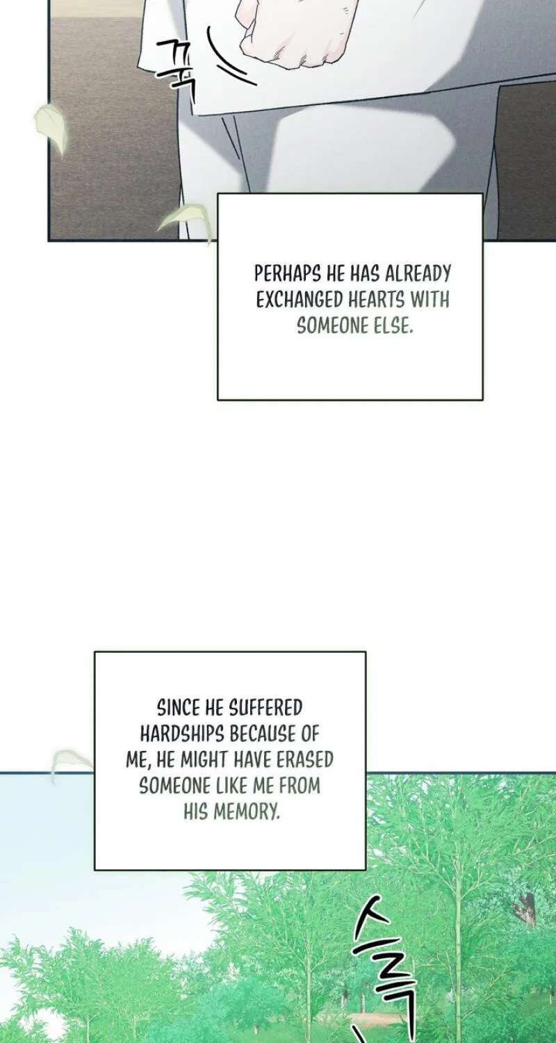 The Meaning of the White Pine Chapter 36 - page 47