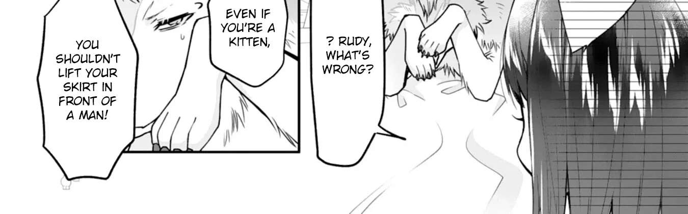 A Cat-Eared Girl's Heartwarming Meals for Fluffy Creatures Chapter 1 - page 54