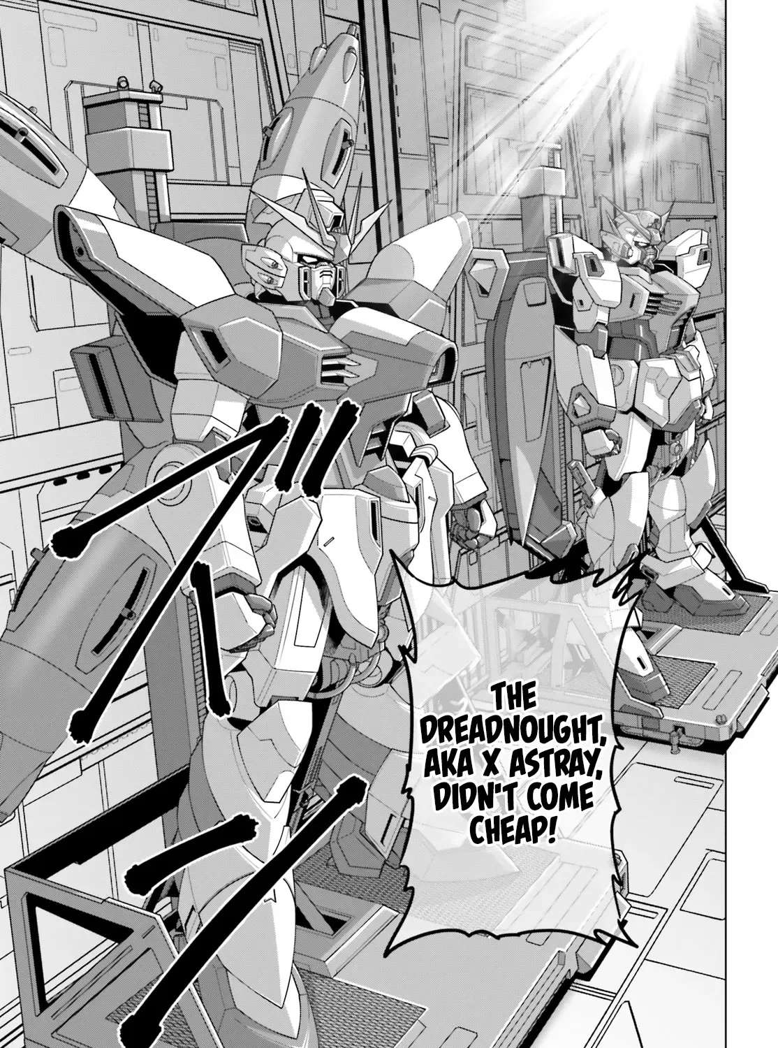 Mobile Suit Gundam Seed Freedom Astray Chapter 4 - page 11