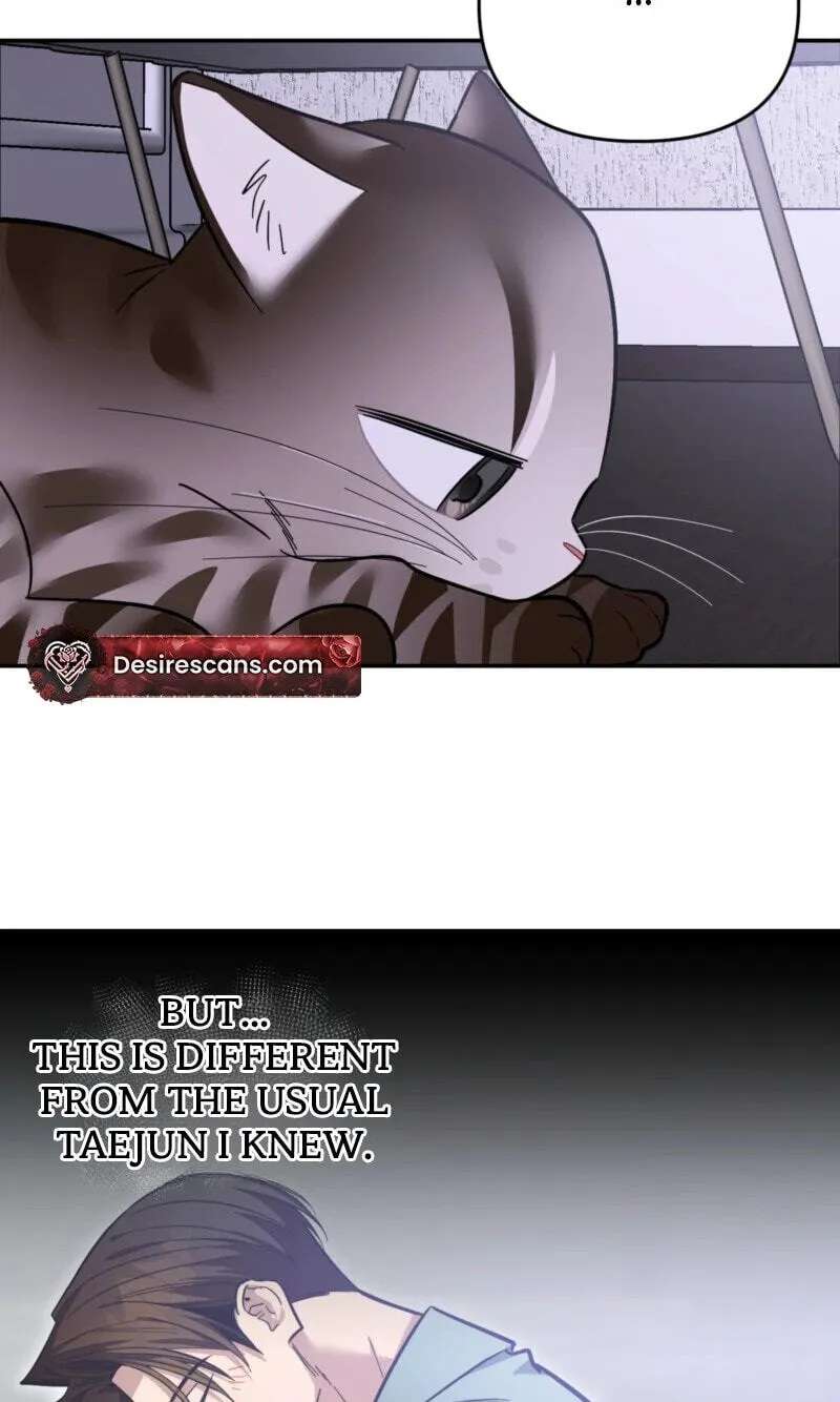 Give Birth to a Baby Wildcat for Me, Unless You Want to See Me Go Insane! Chapter 38 - page 73